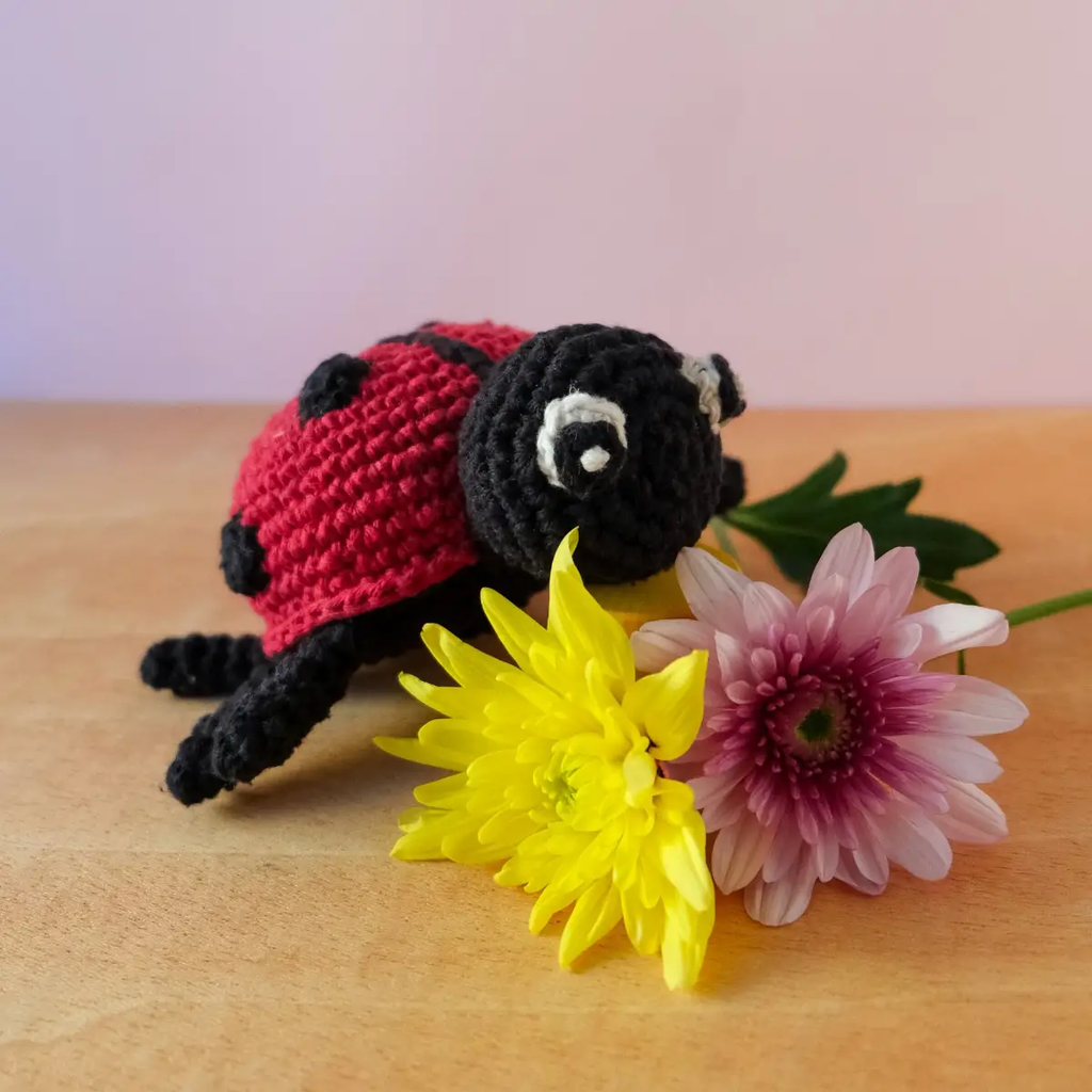 Daisy the Ladybug DIY Amigurumi Crochet Kit