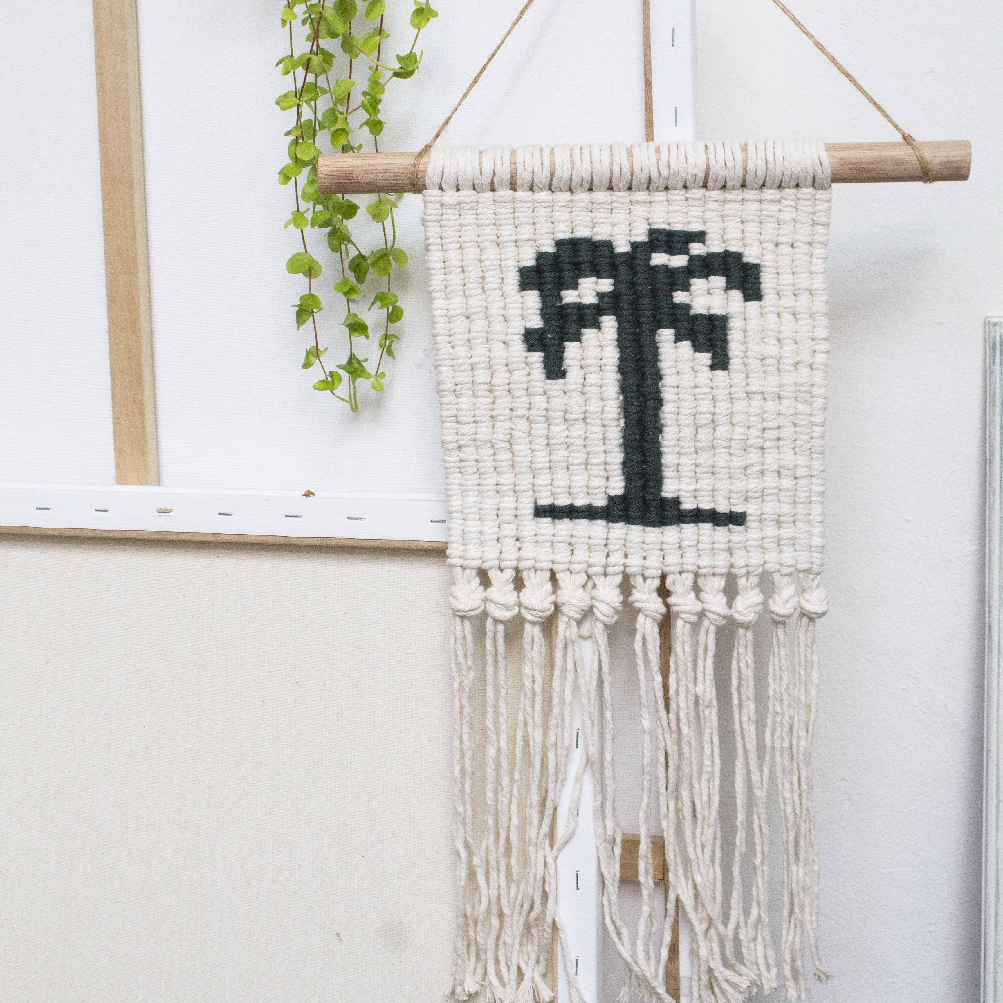 Bora-Bora Macramé Wall Hanger Kit